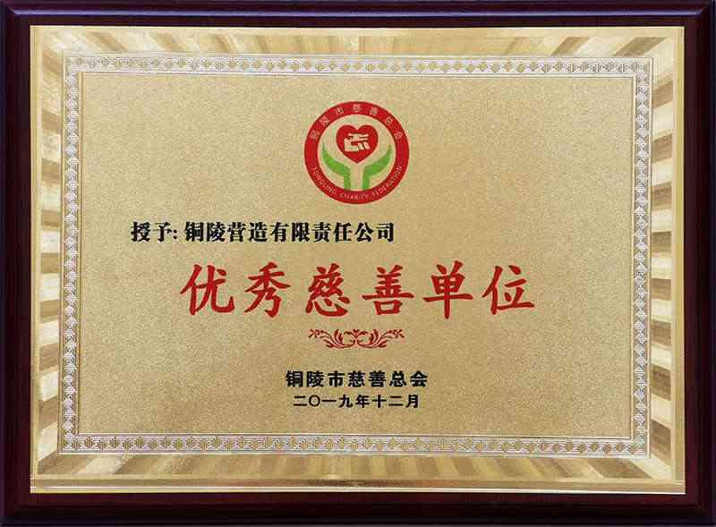 我公司獲評(píng)銅陵市“優(yōu)秀慈善單位”